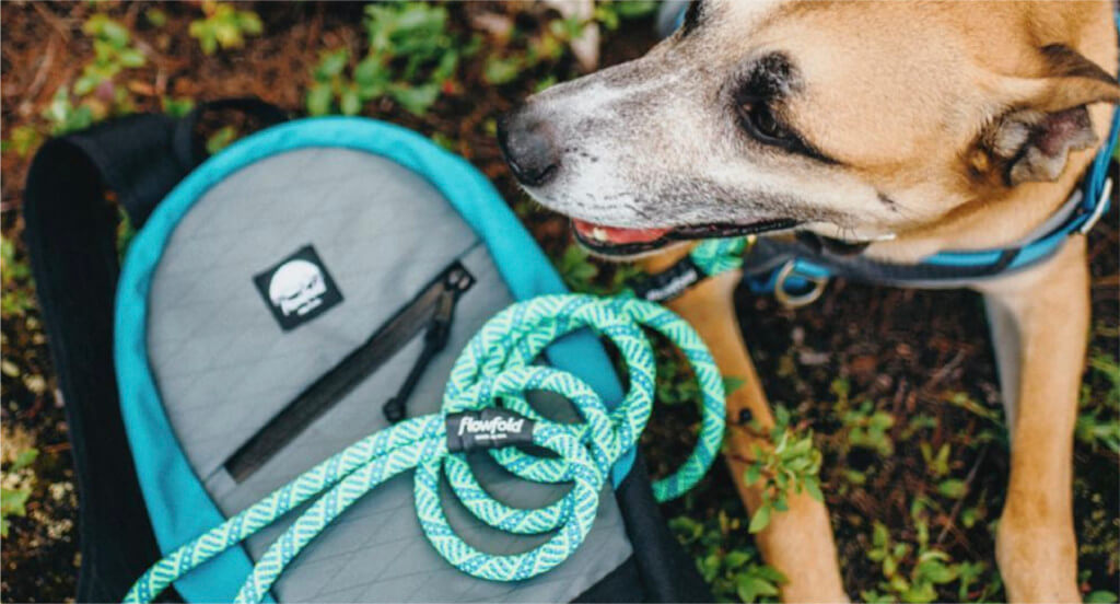 A dog lays next to a Flowfold backpack