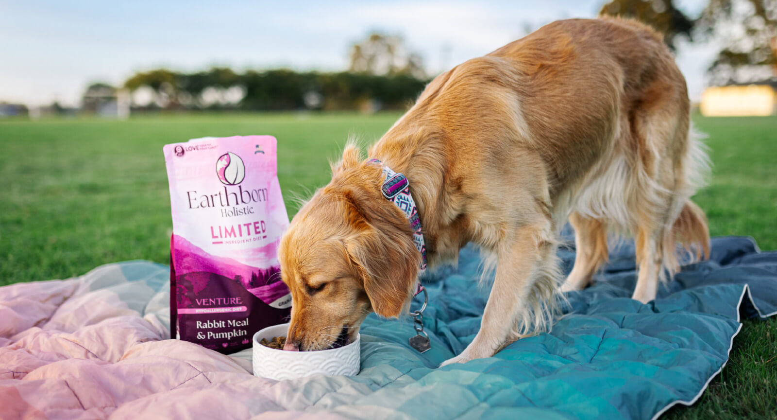 A bag of food sits next to a dog eating out of a bowl on a picnic blanket