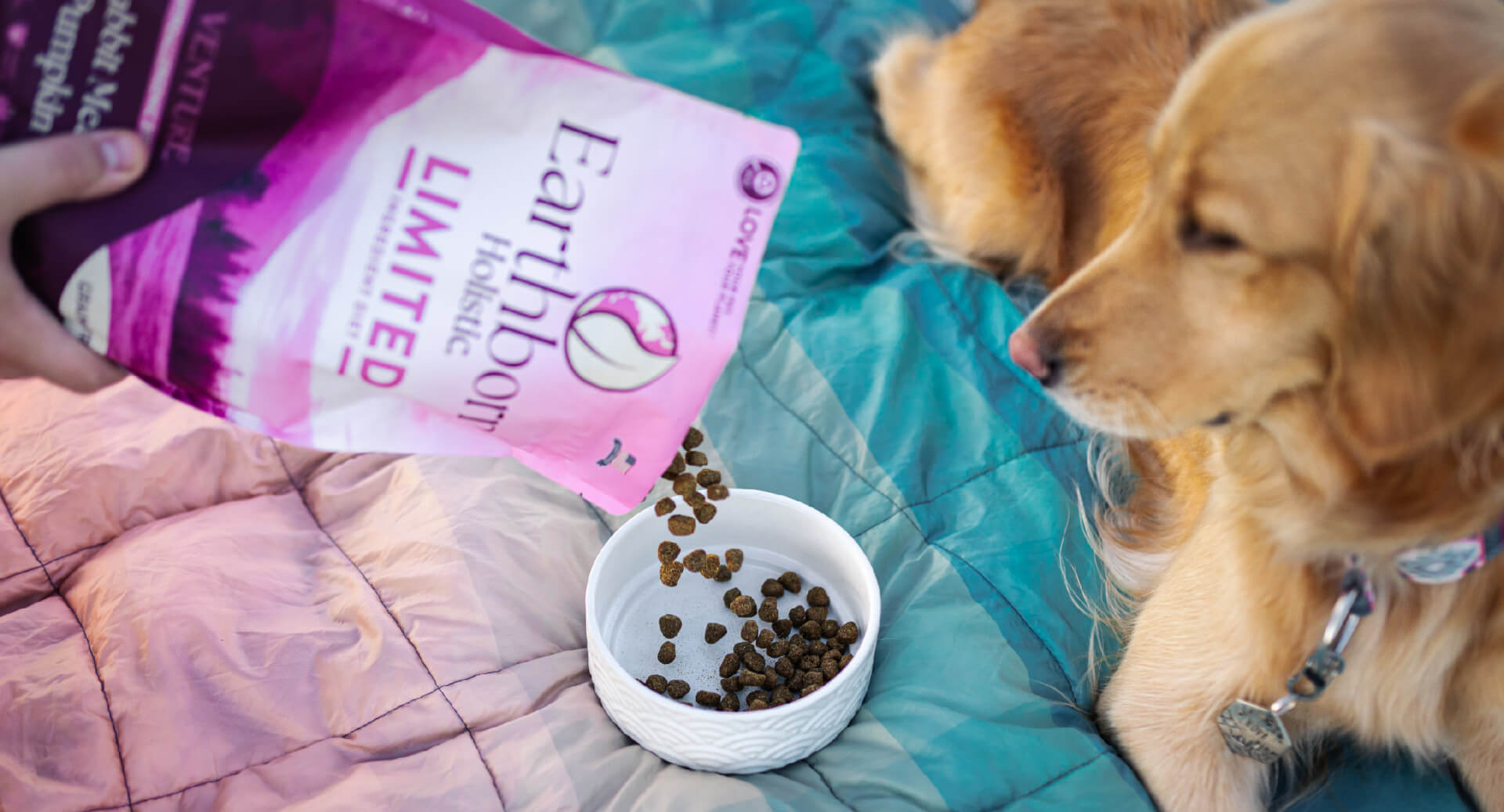 How Often Should I Feed My Dog? Earthborn Holistic Pet Food
