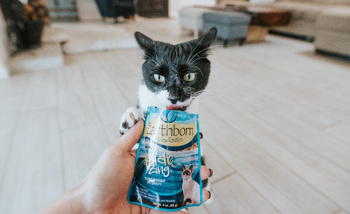 A photo of a human holding an Earthborn Holistic wet cat food pouch out to a cat who is going to lick it