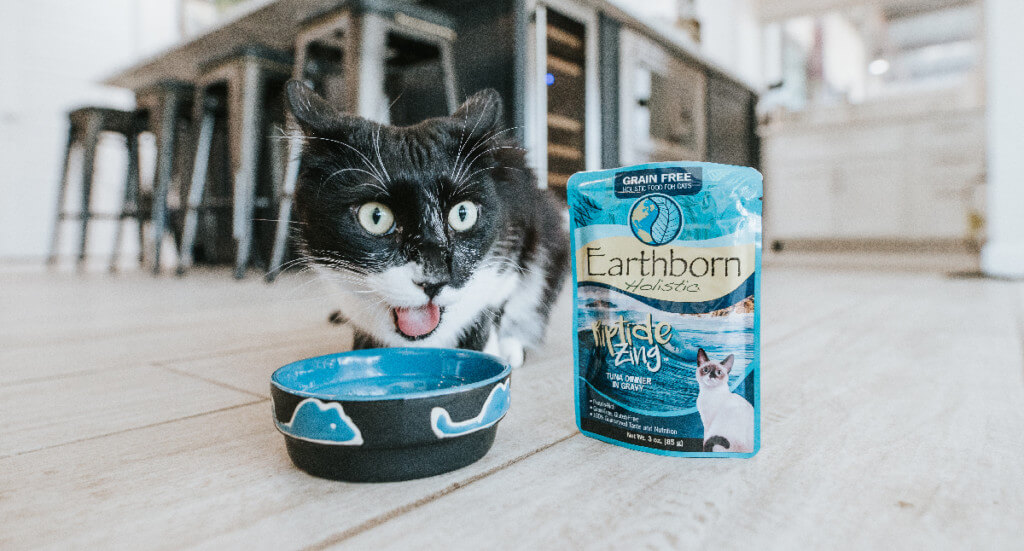 A cat stands over a food bowl with his mouth open next to an Earthborn Holistic wet cat food pouch