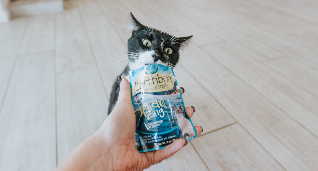 A photo of a human holding an Earthborn Holistic wet cat food pouch out to a cat who is going to lick it