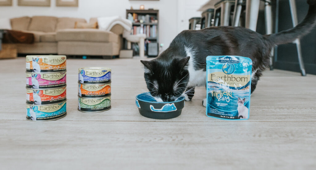 A cat eating out of a food bowl while Earthborn Holistic canned cat food and a cat food pouch sit on the floor next to the bowl