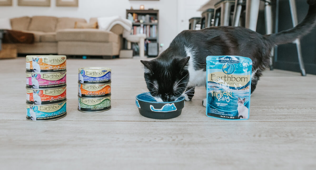 How Much Wet Food to Feed a Cat Earthborn Holistic Pet Food