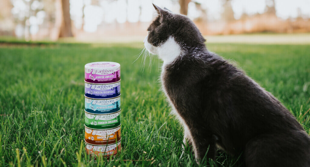 Cat sits in grass beside a stack of cat cans
