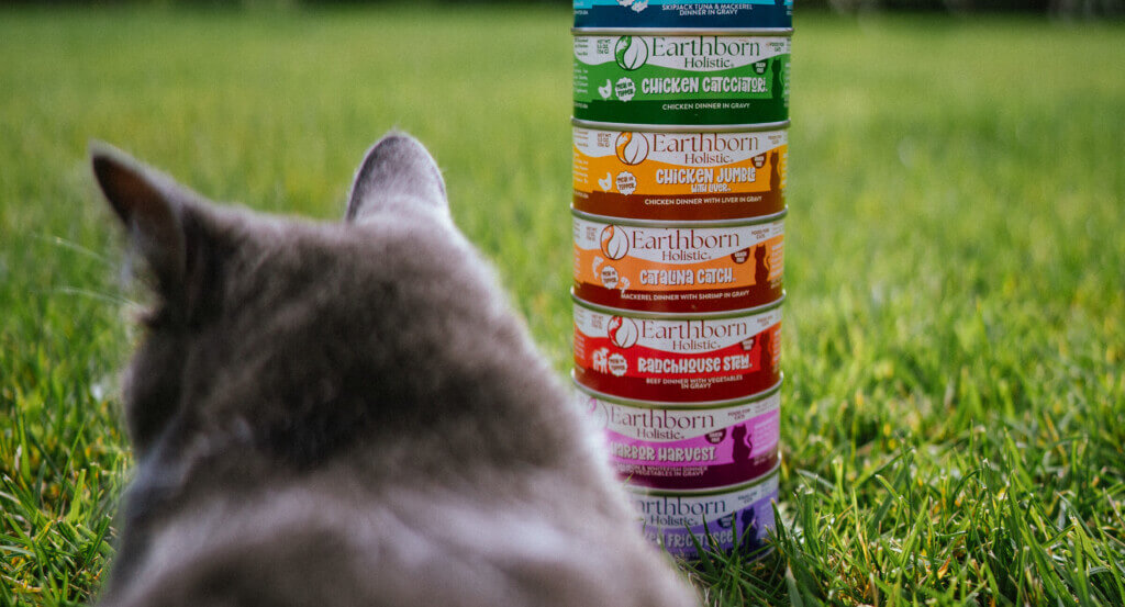 cat looks towards stack of cat cans