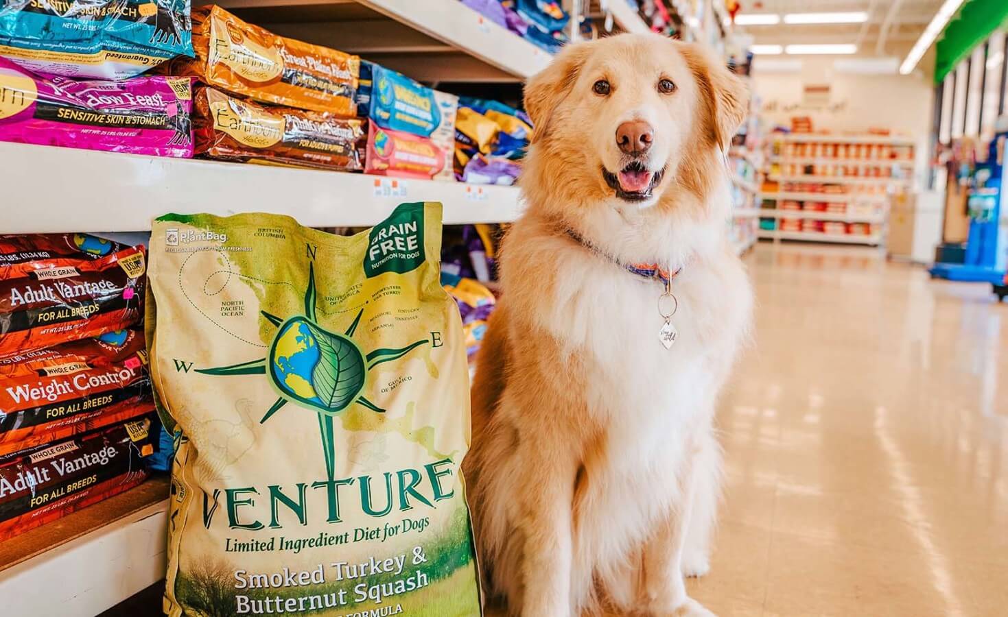 A dog sits in a pet store next to a large bag of Venture Smoked Turkey dog food