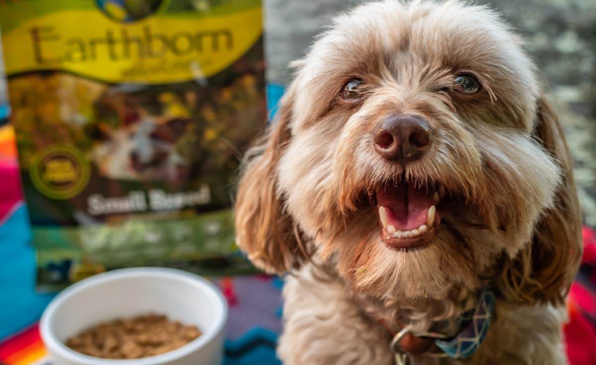 dog smiles with a bag of Earthborn Holistic Small Breed dog food and bowl lay in background
