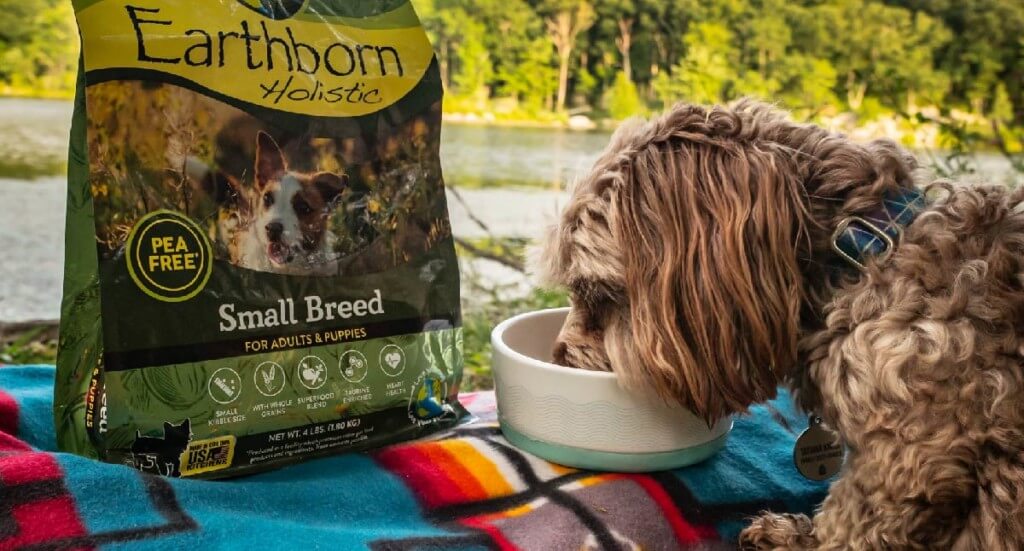 Dog eats out of a bowl with a bag of Earthborn Holistic sitting beside them