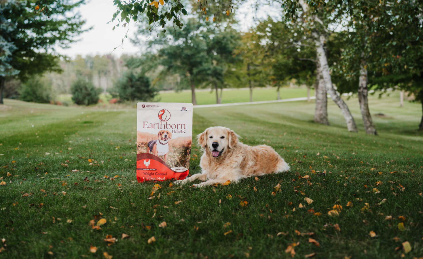 Dog laying next to bag of dog food