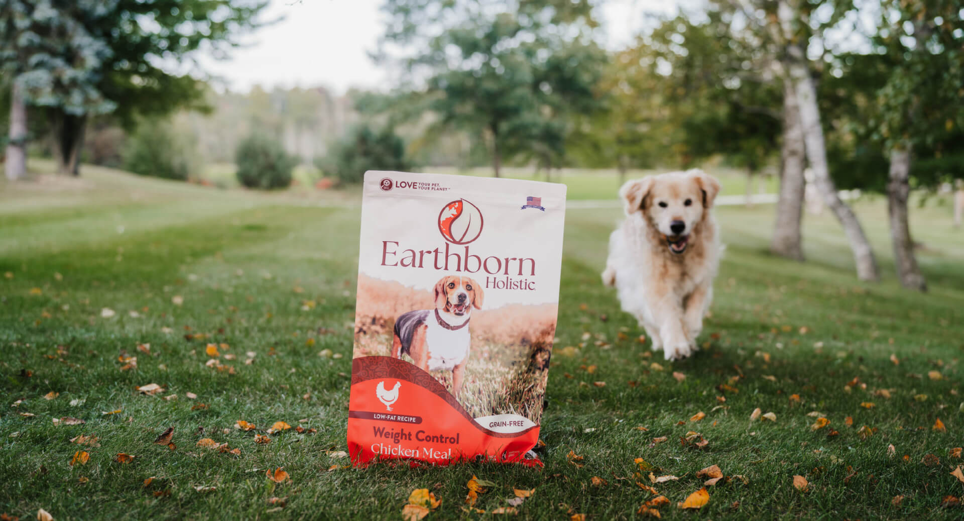 View of A Guide to Dog Food with Probiotics | Earthborn Holistic Pet Food