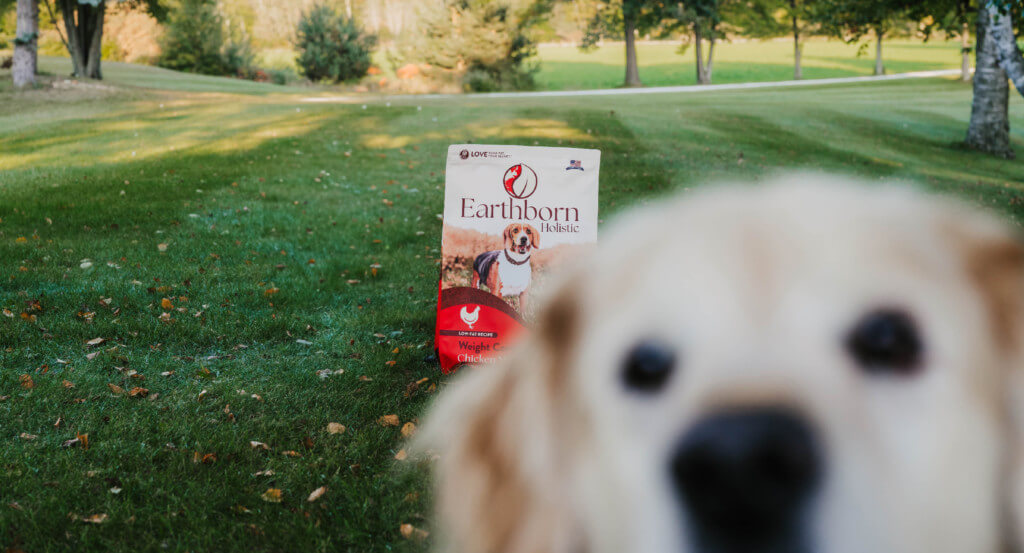 Dog stands near with bag of dog food in distance