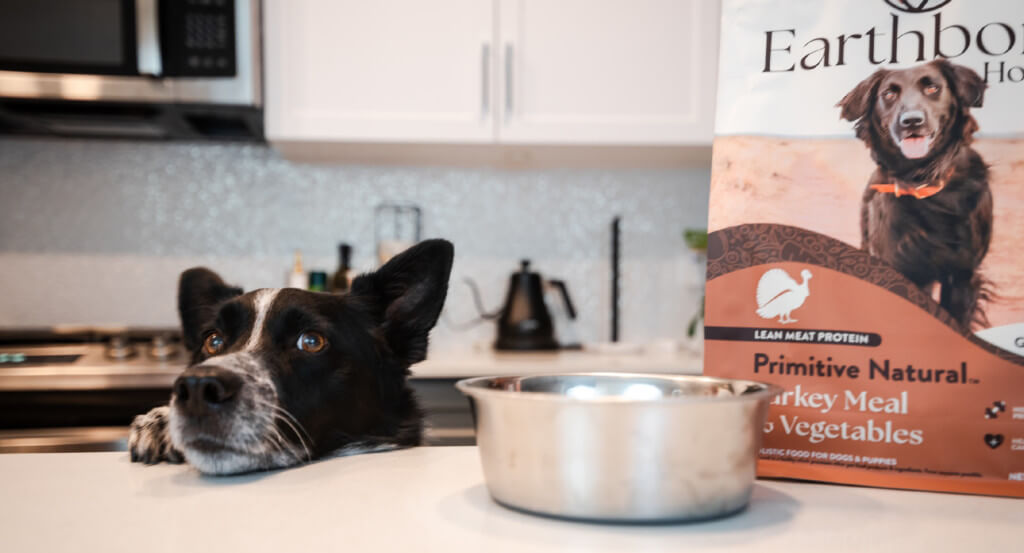 Dog puts head on counter top next to bowl and bag of dog food