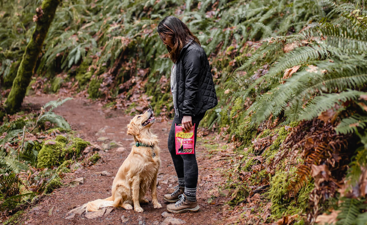 Photo inspiration: Visual Reference: Dogs Allergies A Guide To Reducing Allergy Symptoms
