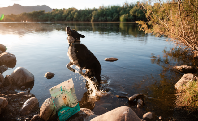 Essentials for a Water Adventure