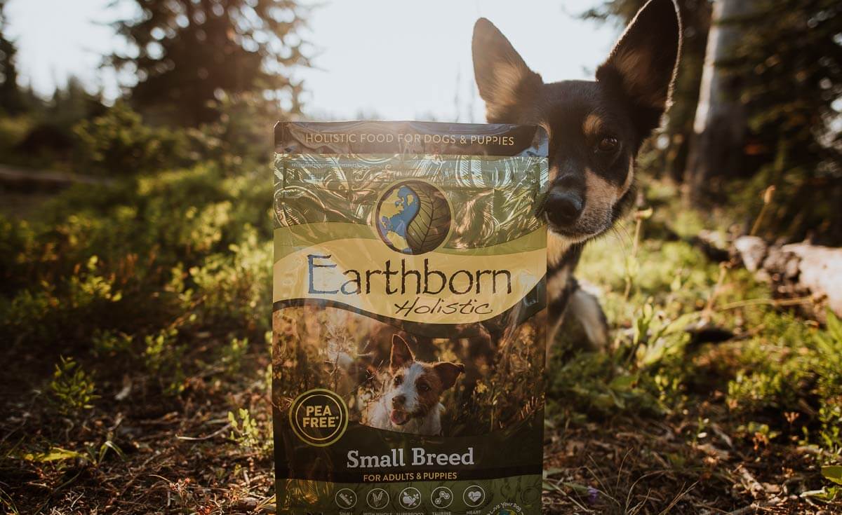 dog looks around the side of a bag of Earthborn Holistic dog food