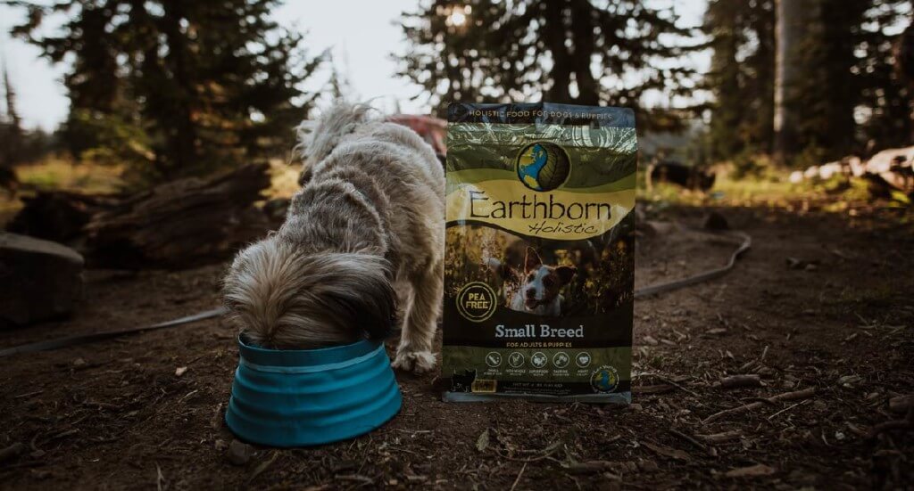 Dog eats out of a blue bowl while standing next to a bag of Small breed Earthborn Holistic
