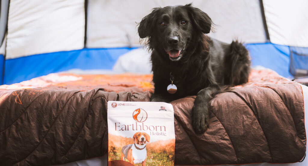 Dog lays on bed with a bag of Earthborn Holistic Weight Control in front of them