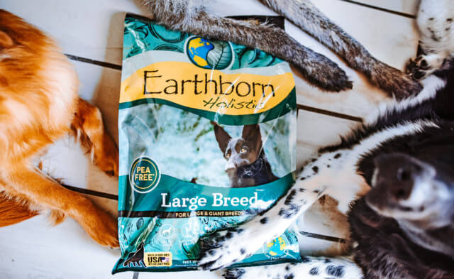 A Guide to the Best Large Breed Dog Food