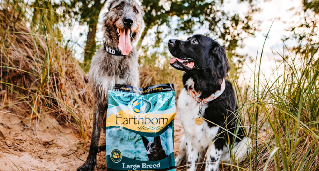 An Irish Wolfhound and a Newfoundland dog sit behind a bag of Earthborn Holistic large breed dog food smiling at each other