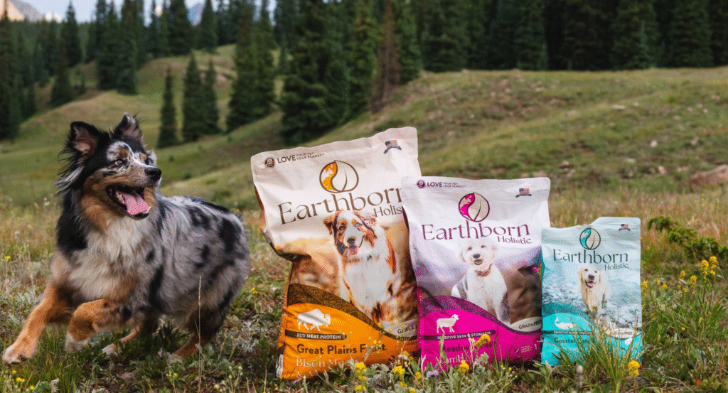 dog sitting with a variety of Earthborn small breed dog food
