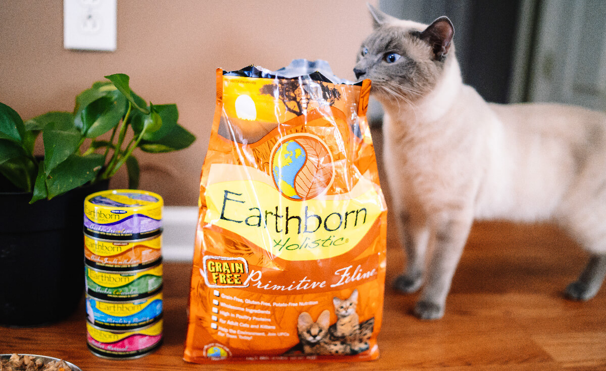 A cat sniffs at an open bag of Earthborn Holistic cat food