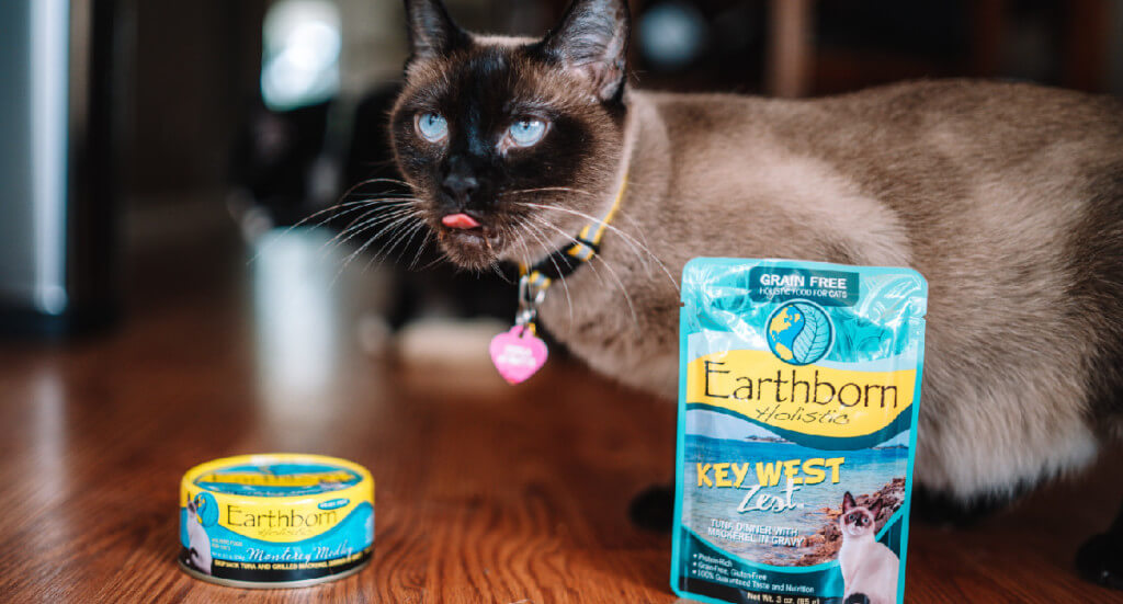 A cat licks his lips while standing next to an Earthborn Holistic wet cat food pouch and canned dinner