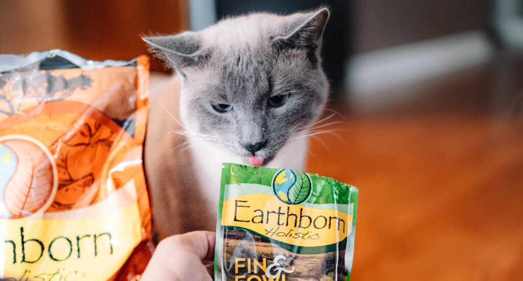 A cat moving in to lick an Earthborn Holistic wet cat food pouch