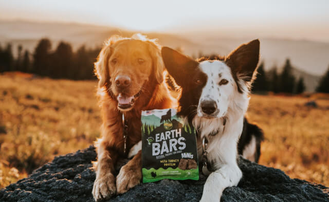 Introducing NEW EarthBars Natural Dog Treats