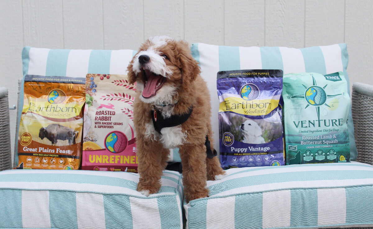 A small doodle puppy sits on a couch next to a variety of Earthborn Holistic puppy food