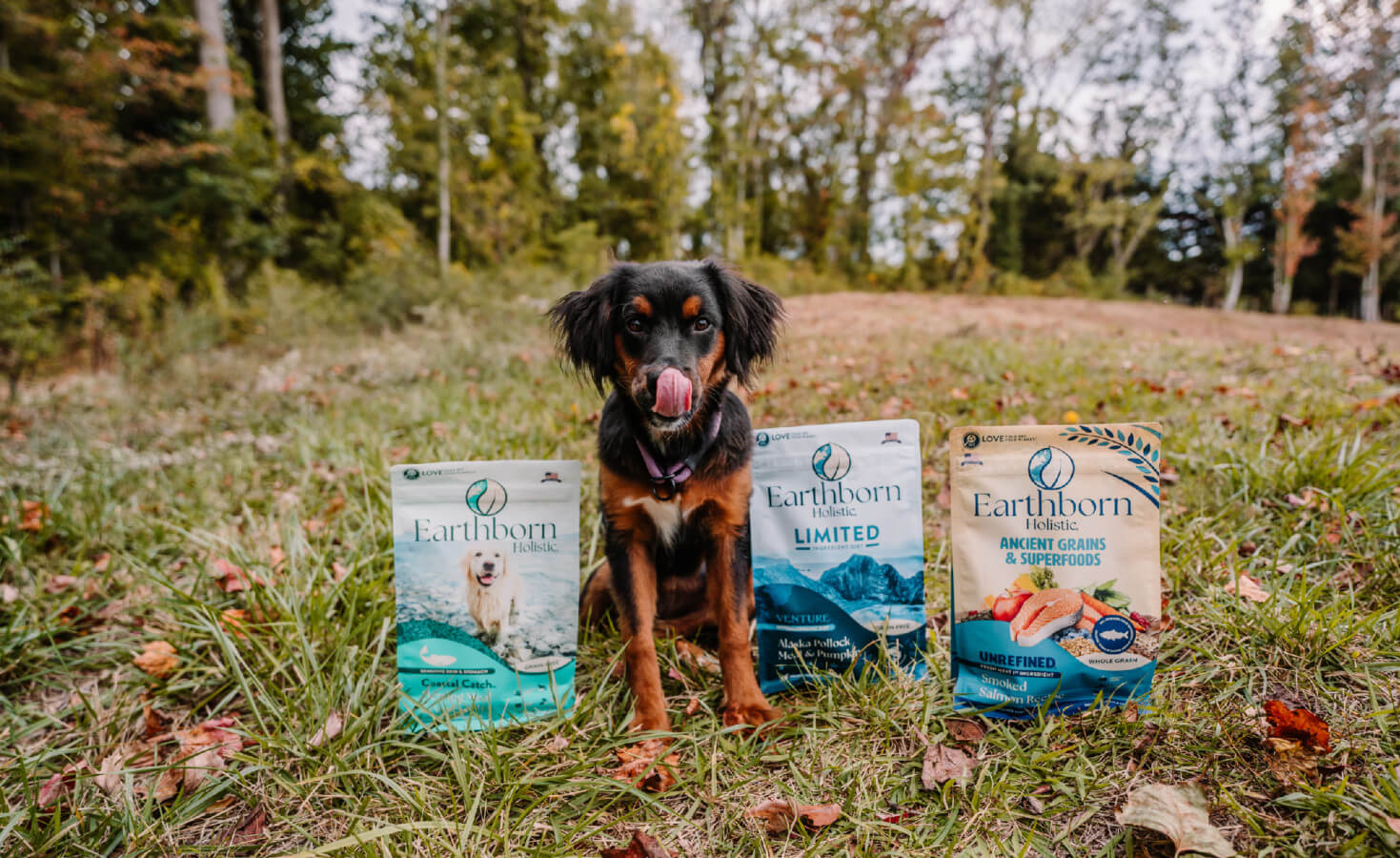 Dog licks mouth sitting next to three bags of dog food