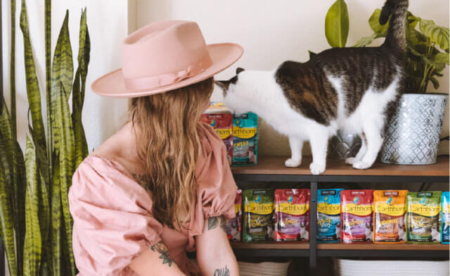Why Is Your Cat Food Choice So Important?