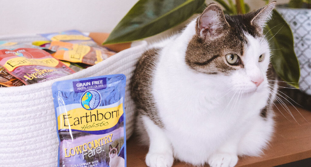 A cat sits next to a basket full of Earthborn Holistic wet cat food pouches