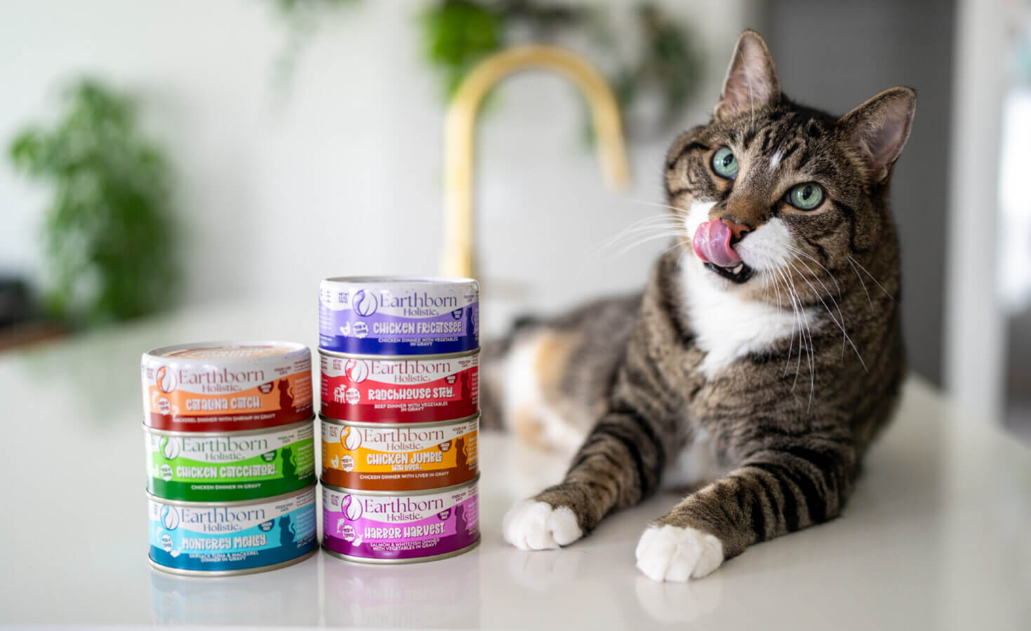 Cat licks lips next to cat cans