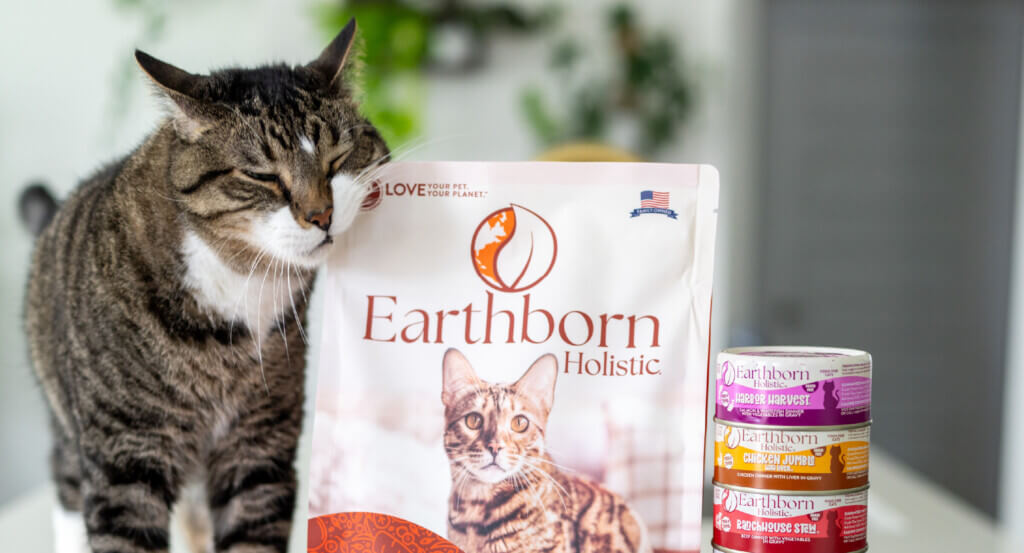 Cat rubs head on bag o food next to stack of cat cans