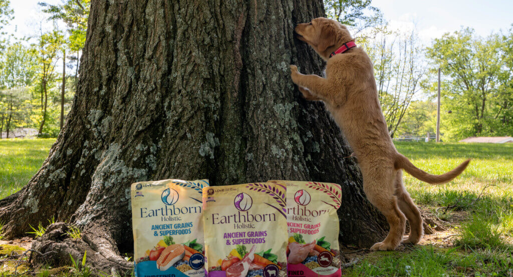 Dog climbs on side of tree as 3 bags of food sit in front of it