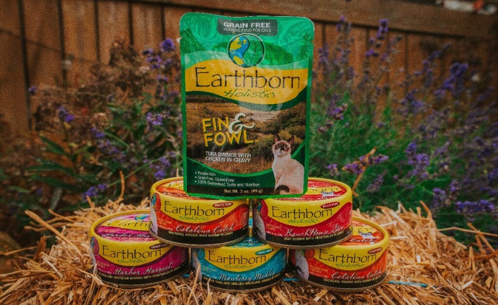 What Your Furry Friend Wants in Their Cat Food | Earthborn Holistic Pet