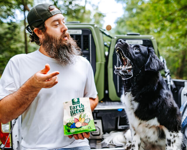 Person holds bag of treats as they throw treat to dog