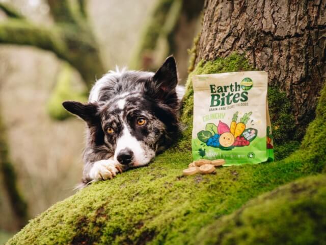A dog lays on a moss-covered tree next to a bag of EarthBites Crunchy Turkey Meal recipe dog treats