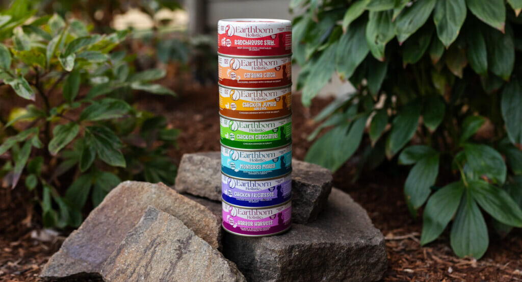 Wet cat food cans stacked on rock