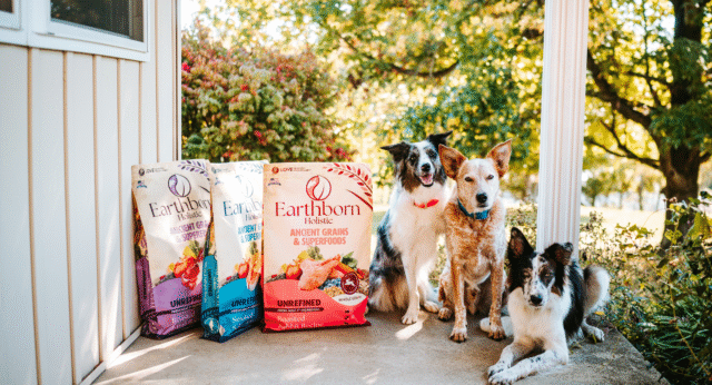 From Puppy to Senior Dog: Choosing Food to Help Avoid Allergens