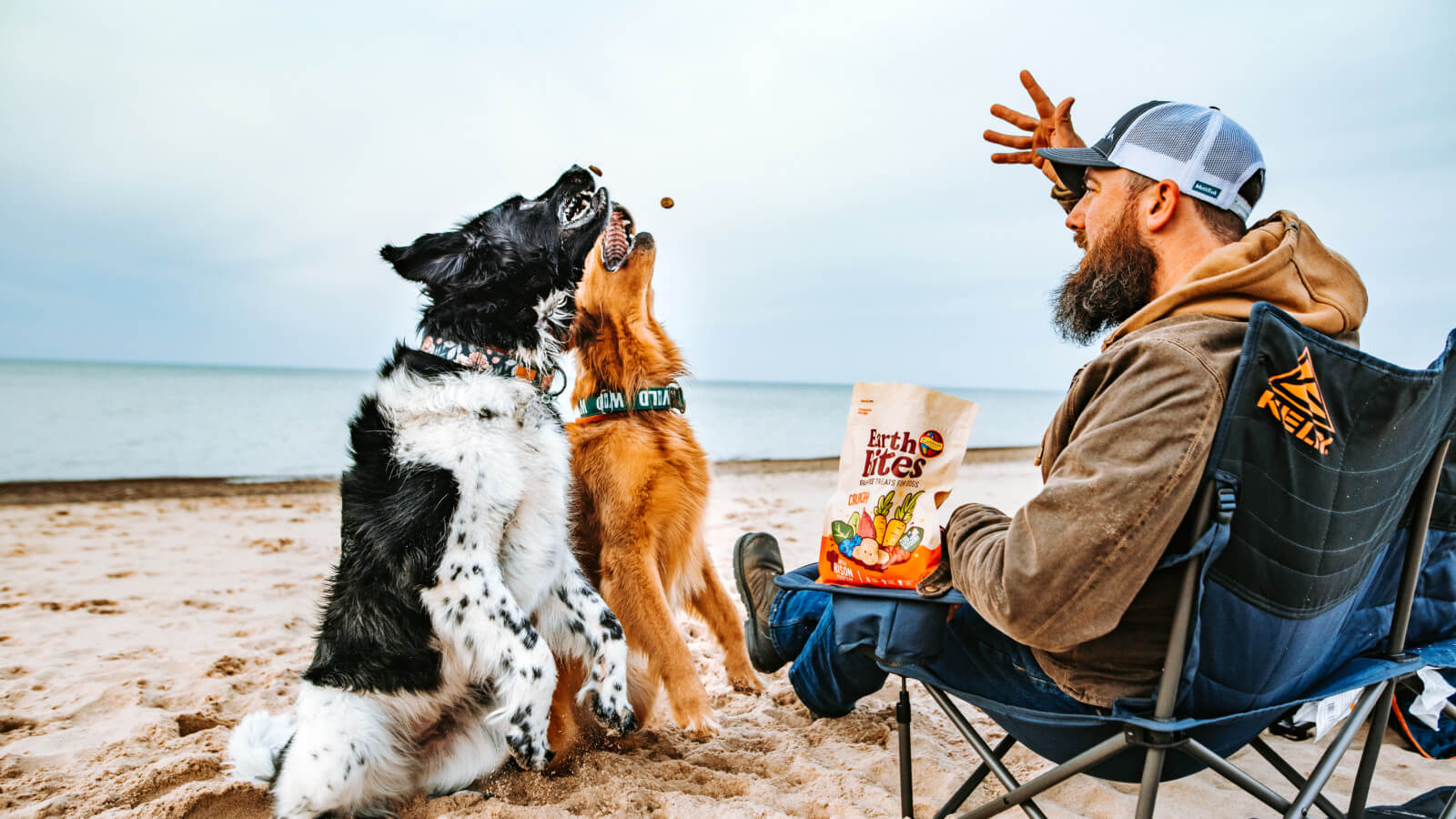 A man sits in a beach chair and tosses an EarthBites Crunchy Bison Meal dog treat towards his two dogs that are ready to catch it