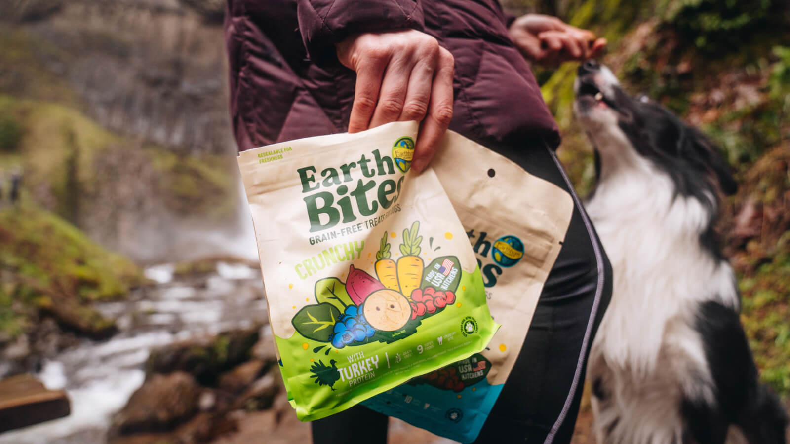 A person holds two bags of EarthBites Crunchy dog treats while a dog can be seen in the background being fed a treat