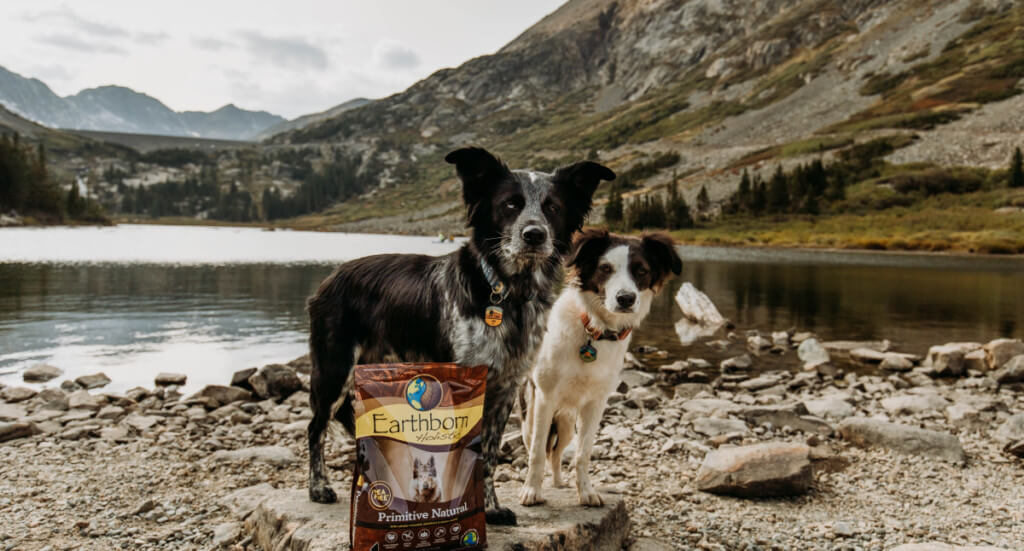 Two dogs stand of riverbank with a bag of dog food.