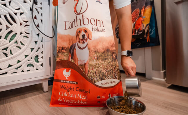Tips for Your Dog Food Storage Container