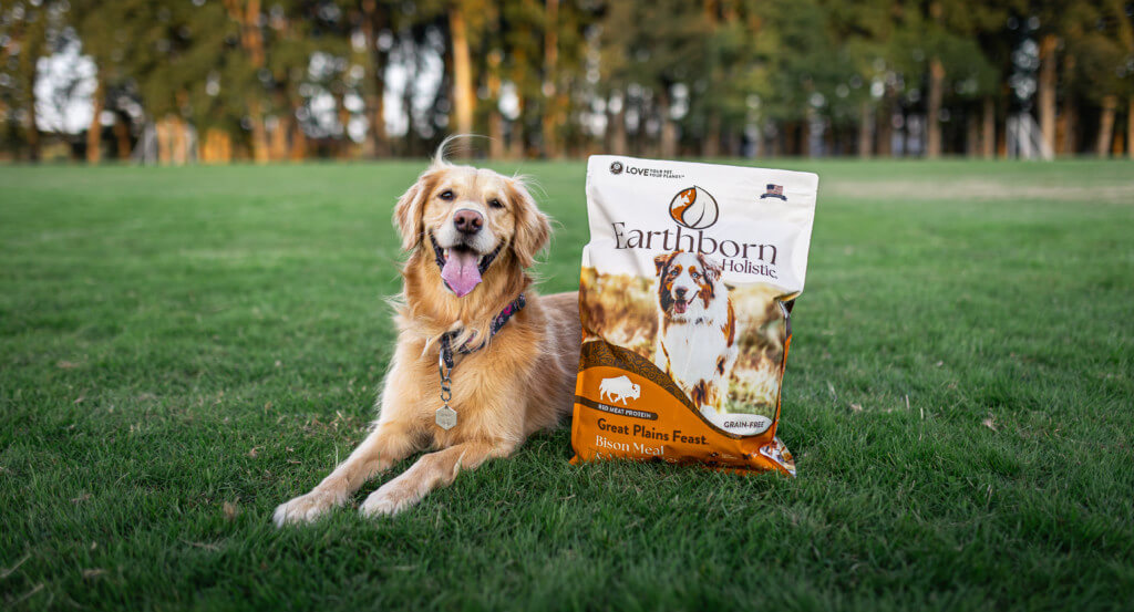 Dog lays in grass next to bag of Great Plains Feast