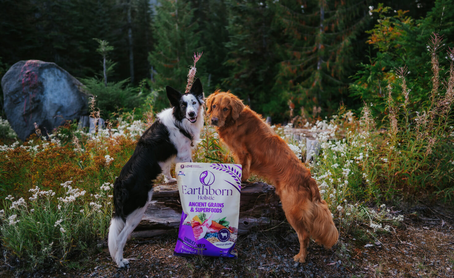 Dogs stand with front paws on stump behind a bag of Earthborn dog food