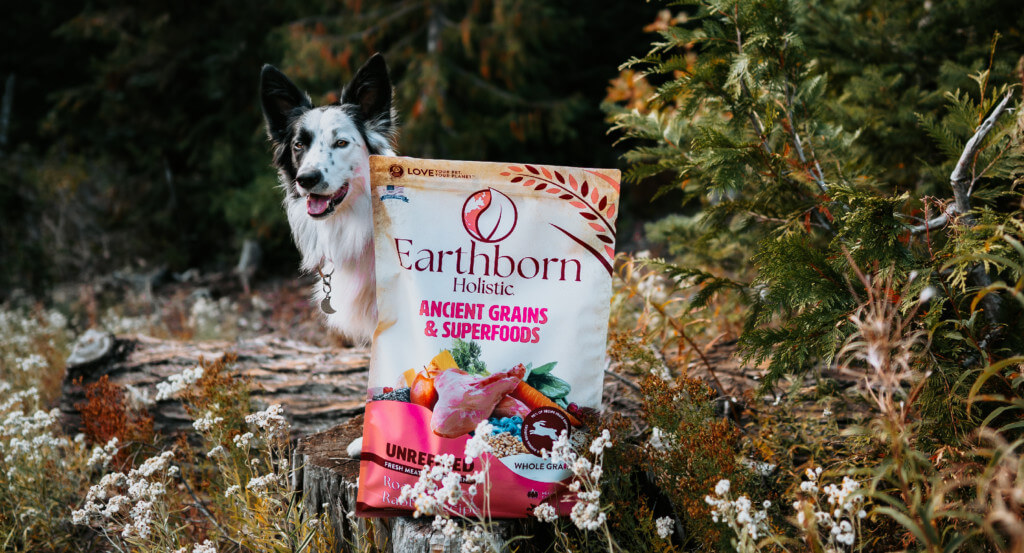 Dog stands behind a bag of Earthborn dog food