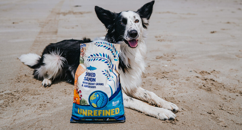 dog laying on a beach next to a bag of Unrefined Smoked Salmon dog food