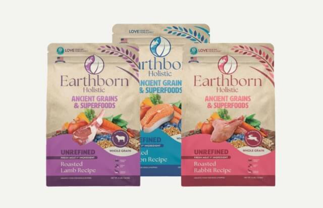 6 Enrichment Toys for Dogs  Earthborn Holistic Pet Food